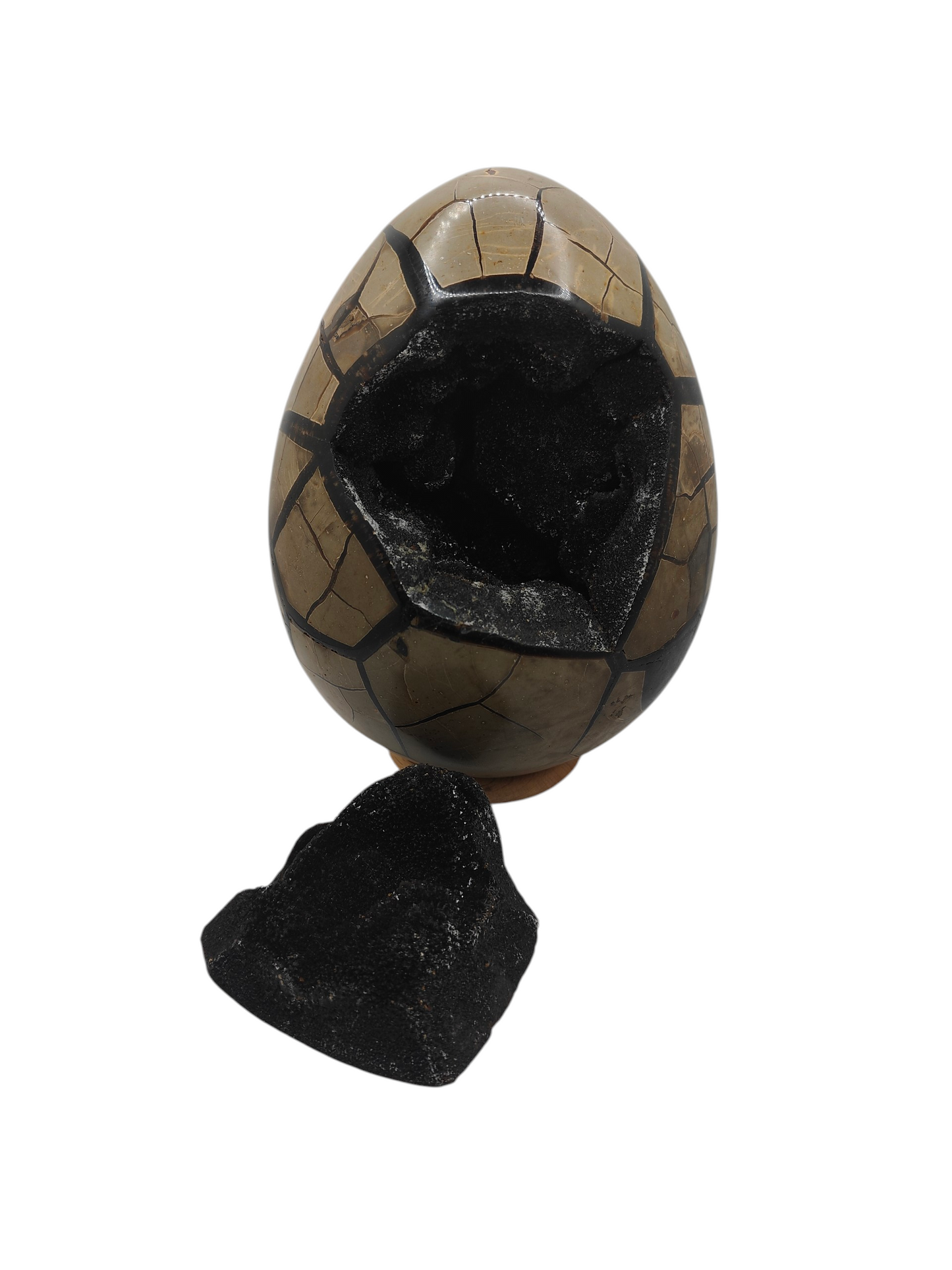 Oeuf Septaria