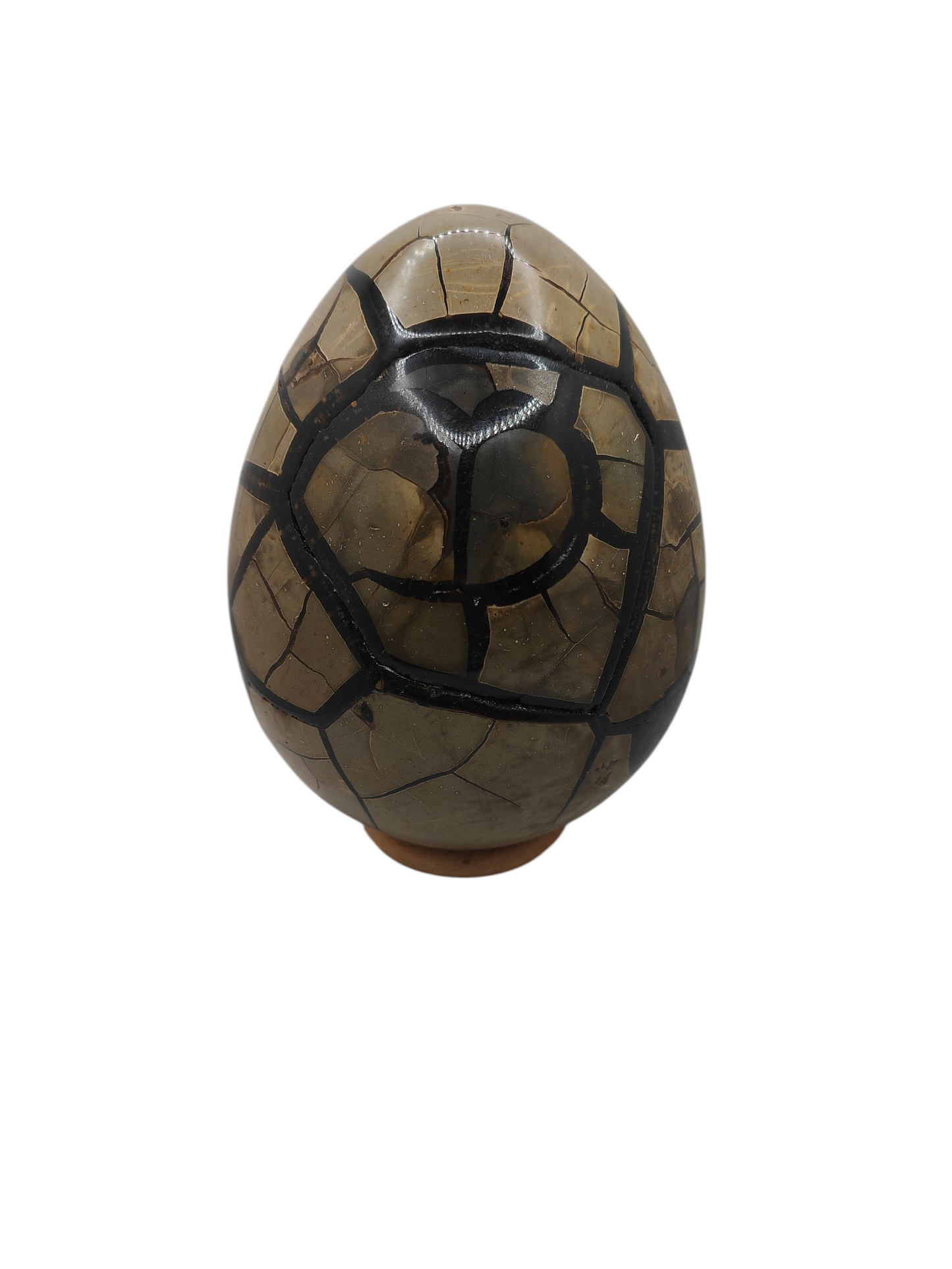 Oeuf Septaria