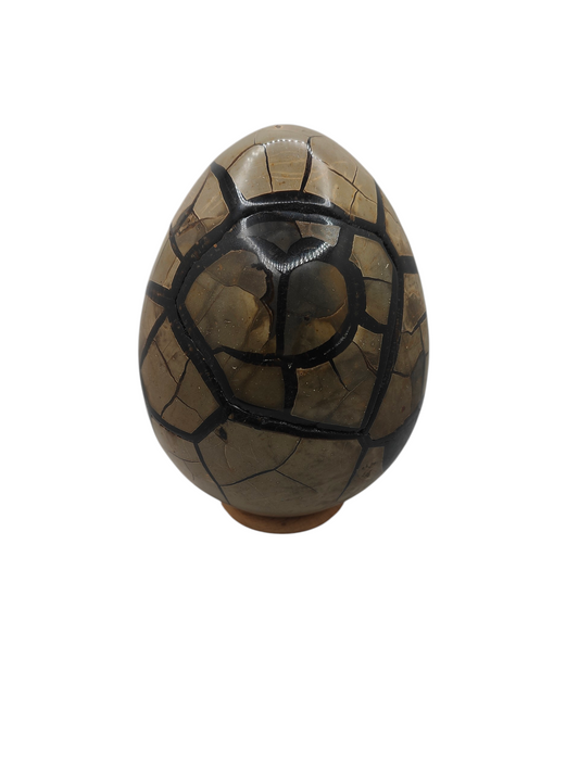 Oeuf Septaria