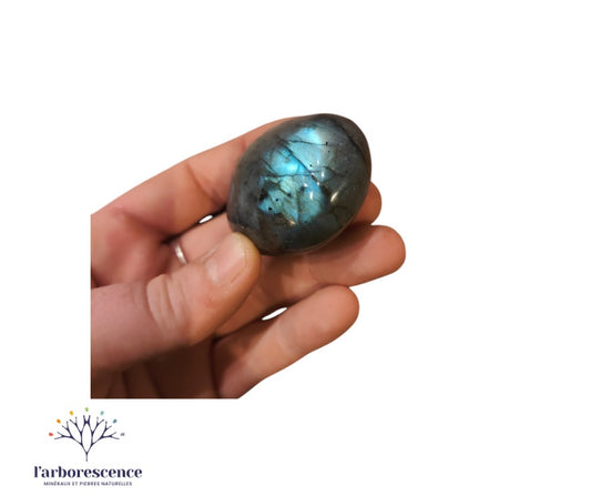 Galet Labradorite